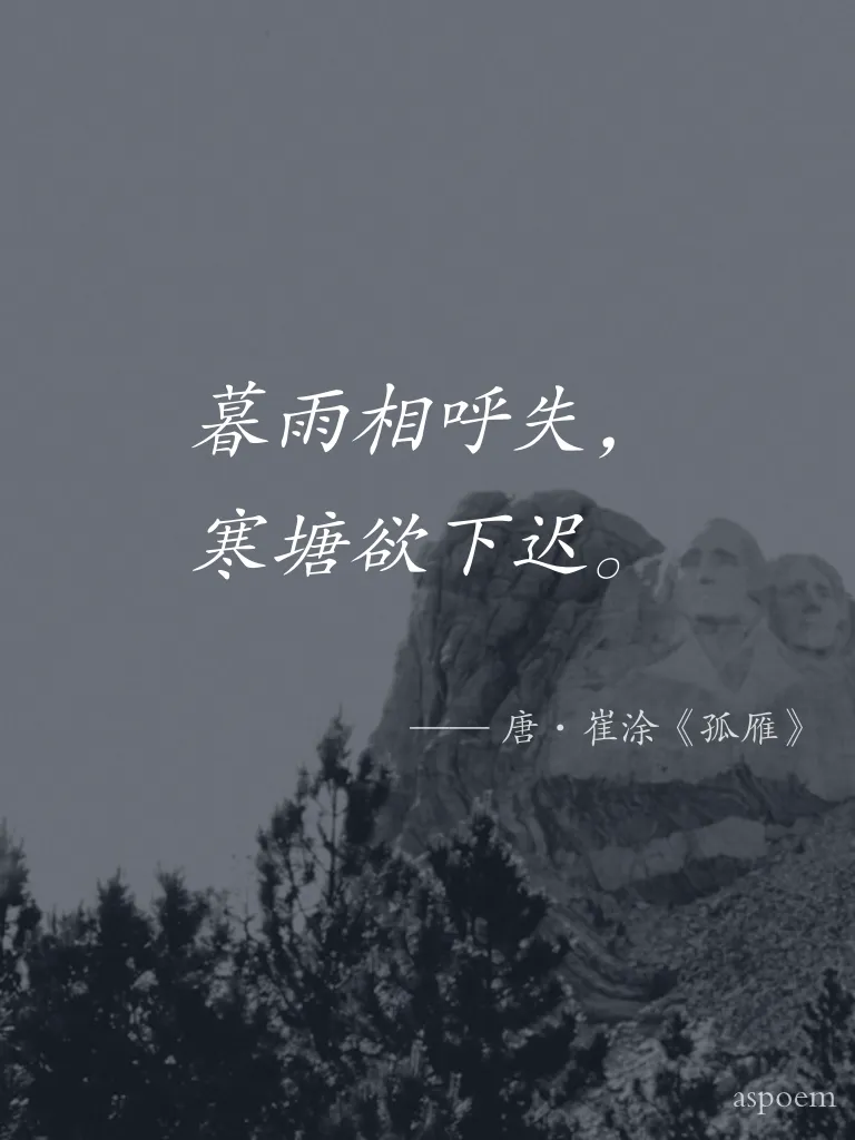 《孤雁》 | 诗词摘抄片段