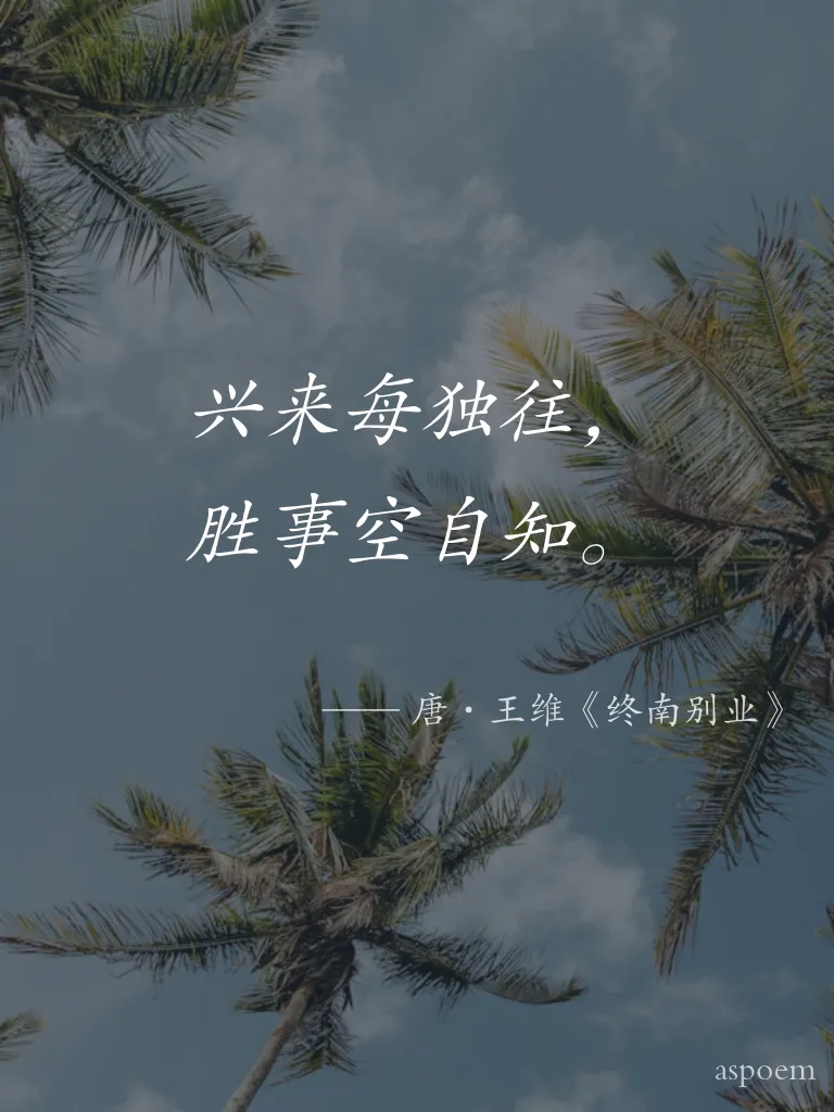 《终南别业》 | 诗词摘抄片段