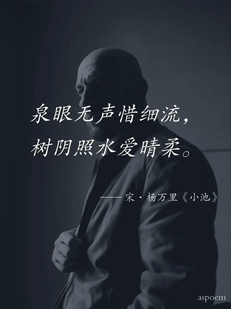 《小池》 | 诗词摘抄片段