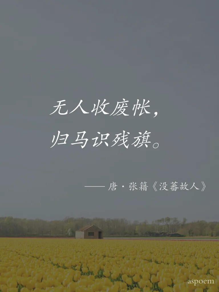 《没蕃故人》 | 诗词摘抄片段