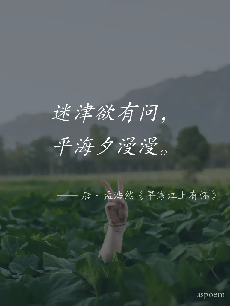 《早寒江上有懷》 | 诗词摘抄片段