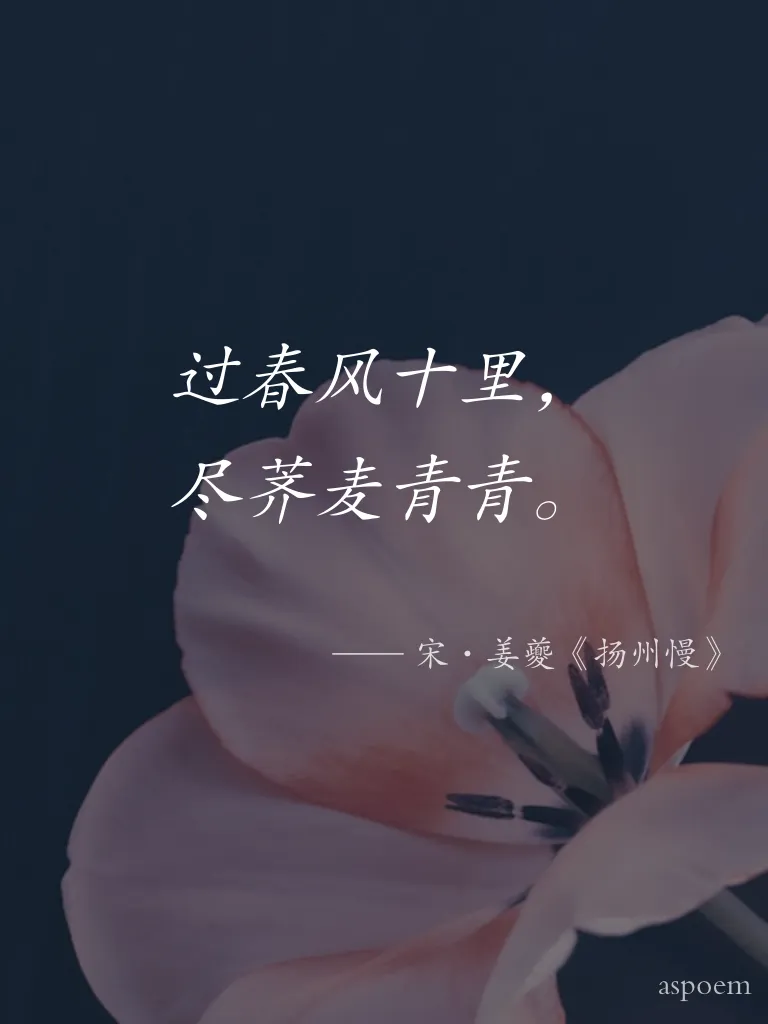 《扬州慢》 | 诗词摘抄片段