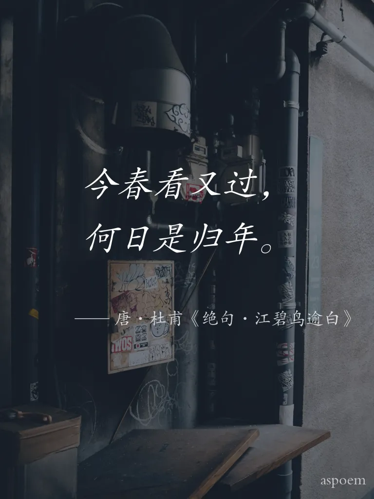 《绝句·江碧鸟逾白》 | 诗词摘抄片段