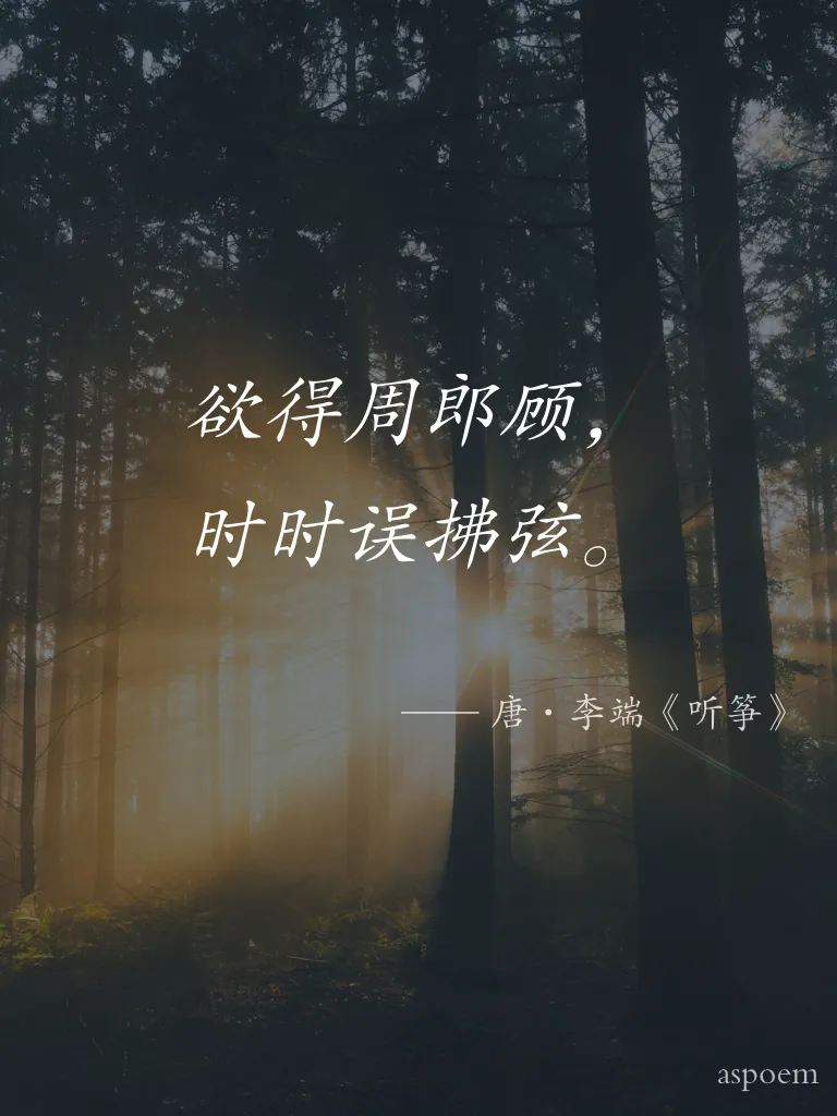 《听筝》 | 诗词摘抄片段